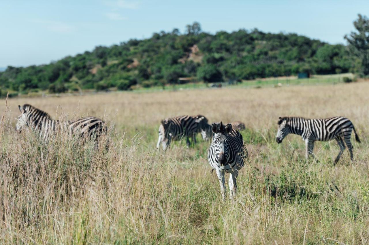 Thaba Eco Hotel Johannesburg Zewnętrze zdjęcie